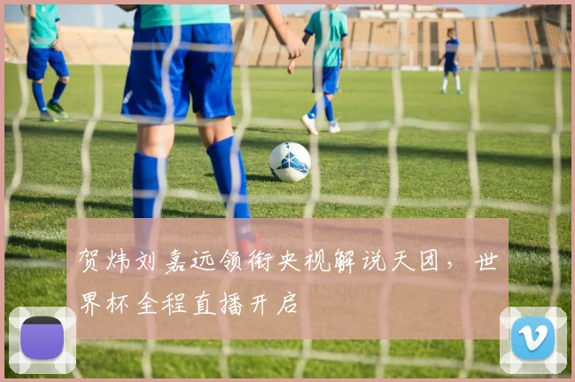 贺炜刘嘉远领衔央视解说天团，世界杯全程直播开启