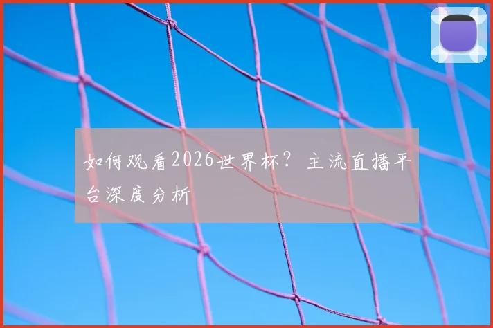 如何观看2026世界杯？主流直播平台深度分析