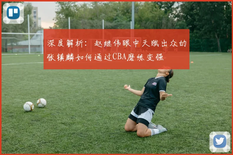 深度解析：赵继伟眼中天赋出众的张镇麟如何通过CBA磨练变强