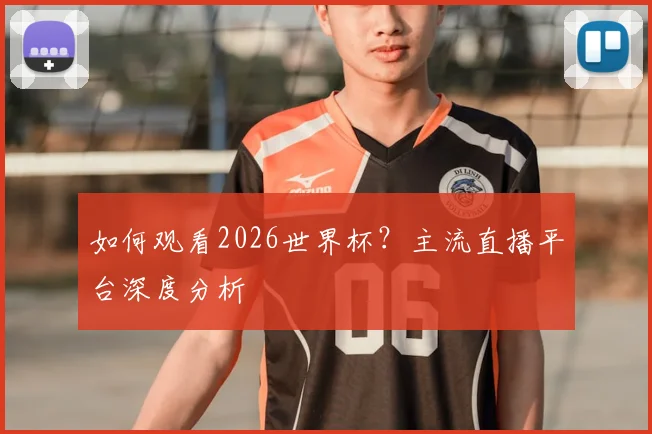 如何观看2026世界杯?主流直播平台深度分析