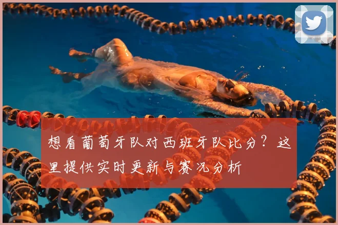 想看葡萄牙队对西班牙队比分？这里提供实时更新与赛况分析