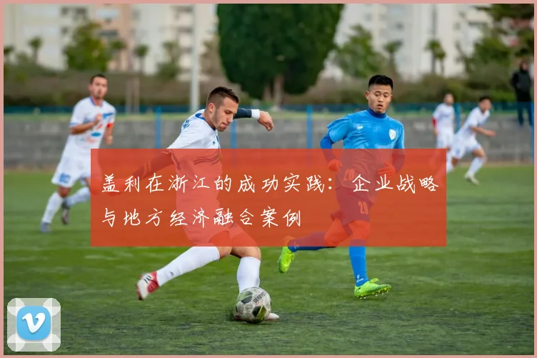 盖利在浙江的成功实践：企业战略与地方经济融合案例